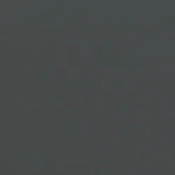 Linge De Table^Muji Lot de 4 dessous de verre en cuir recyclé, Graphite