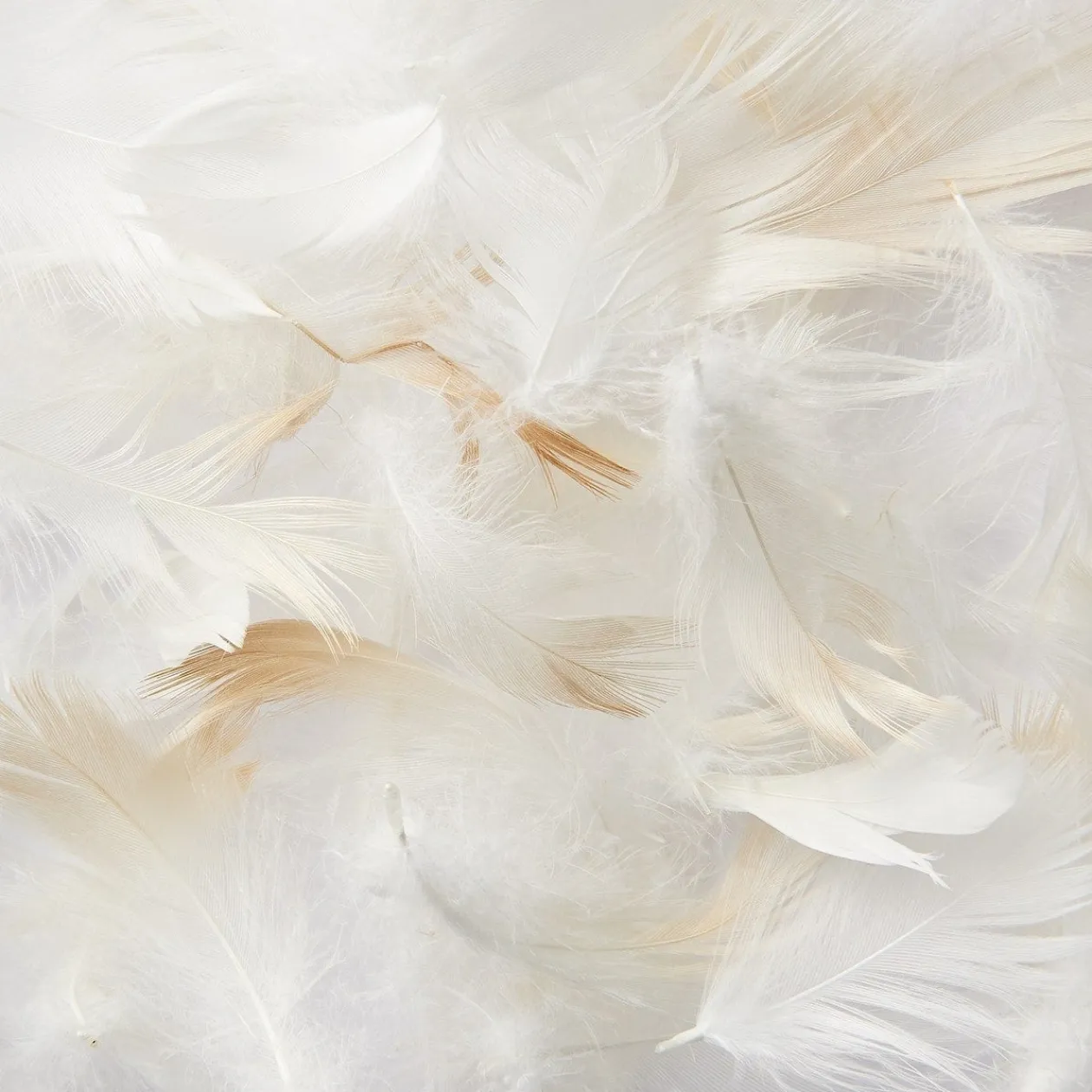 Couettes Et Oreillers^Muji Oreiller en plumes 43 x 63 cm